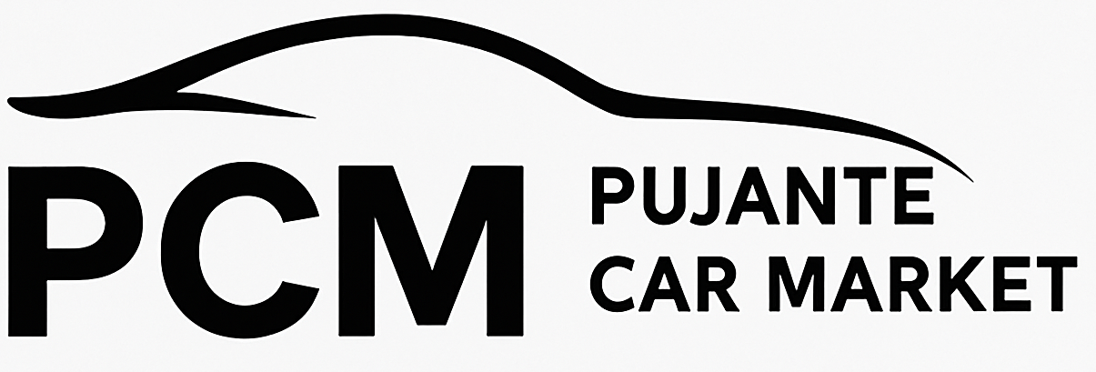 Pujante Car Market, SL